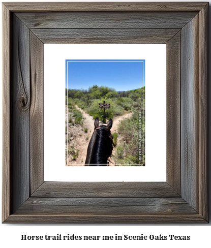 horse trail rides near me in Scenic Oaks, Texas